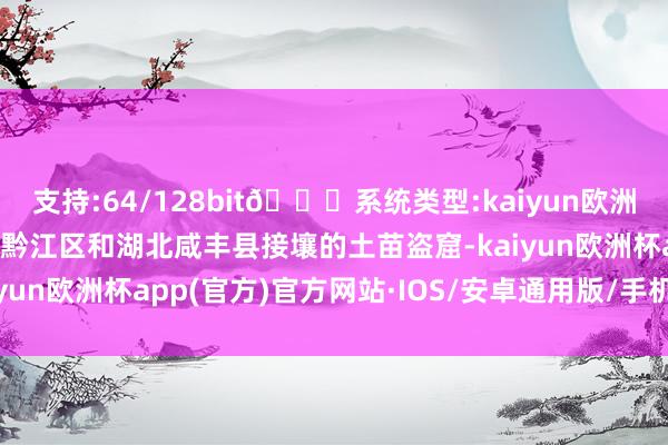 支持:64/128bit🍏系统类型:kaiyun欧洲杯appApp官方下载在黔江区和湖北咸丰县接壤的土苗盗窟-kaiyun欧洲杯app(官方)官方网站·IOS/安卓通用版/手机APP下载