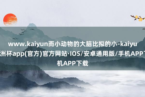 www.kaiyun而小动物的大脑比拟的小-kaiyun欧洲杯app(官方)官方网站·IOS/安卓通用版/手机APP下载